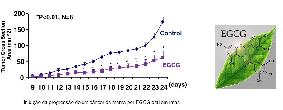 grafico inibicao tumor por EGCG