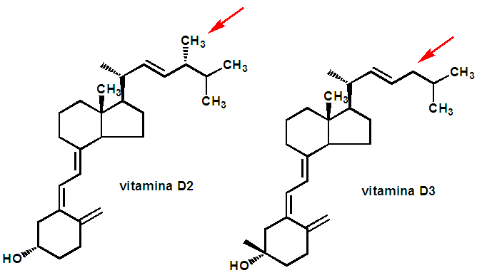 vitaminas-d2-d3