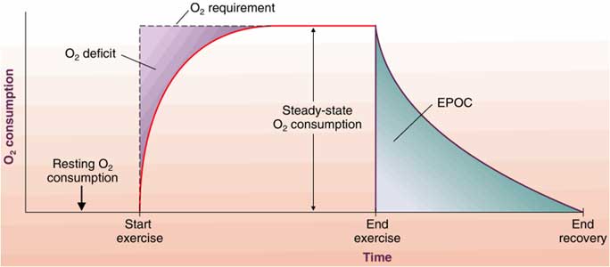 epoc