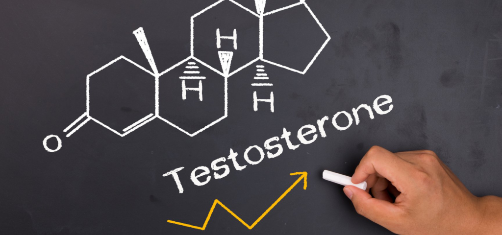 Como elevar seus níveis de Testosterona sem Terapia de Como elevar seus níveis de Testosterona sem Terapia de