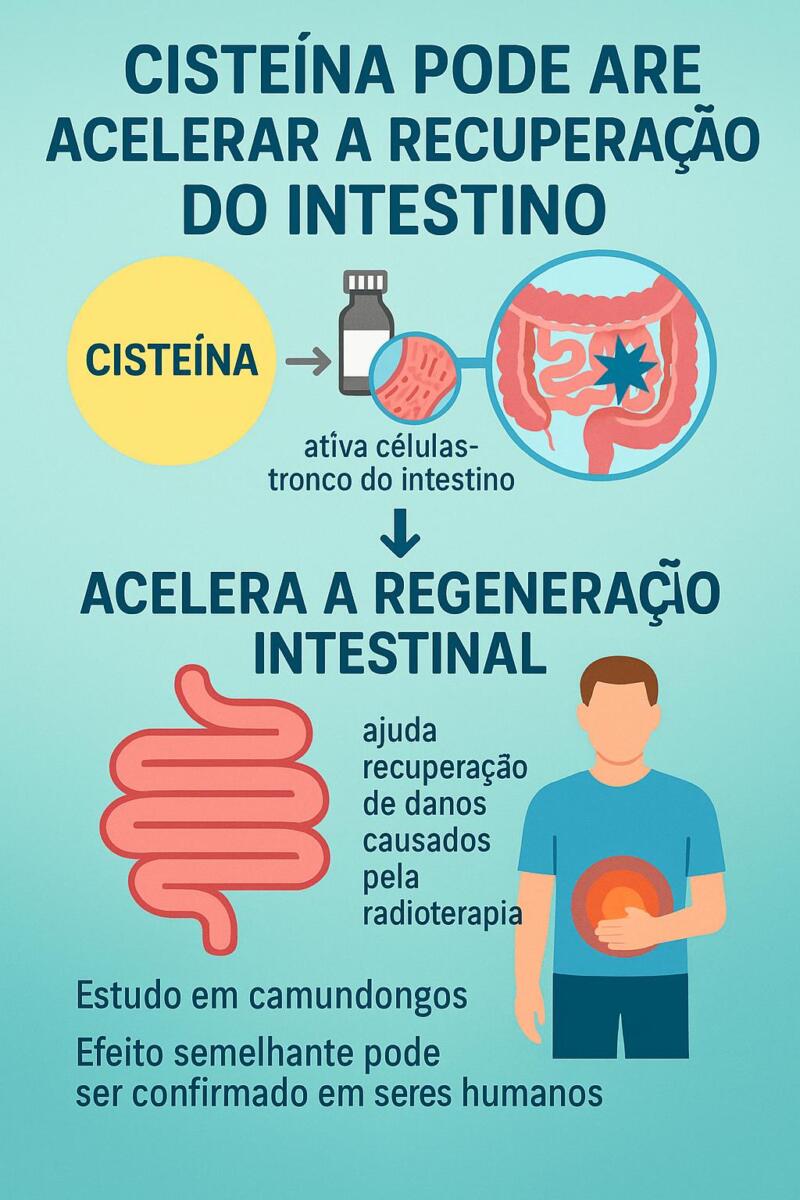 nacetilcisteina