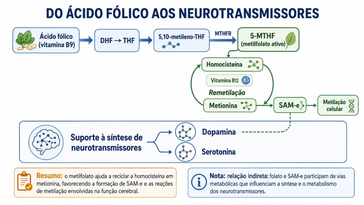 ACIDO FOLICO METILFOLATO