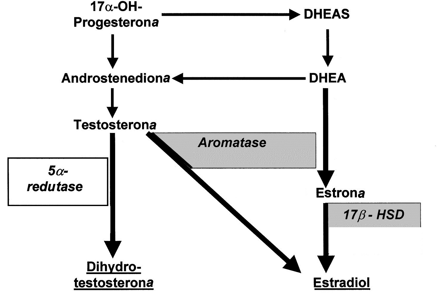 DHEA sintese uso Dr. Roberto Franco do Amaral Neto