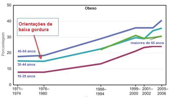 colesterol e gordura na dieta 