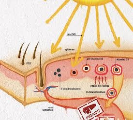 prod.vit D