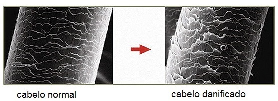 cuticula2