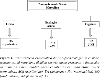 dopamina e libido