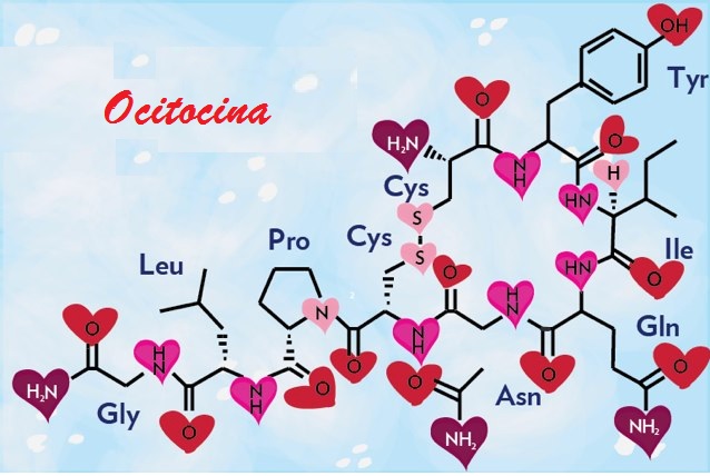 Ocitocina, muito mais que o &ldquo;Horm&ocirc;nio do Amor &rdquo;. Saiba porqu&ecirc;! - Dr.  Roberto Franco do Amaral Neto