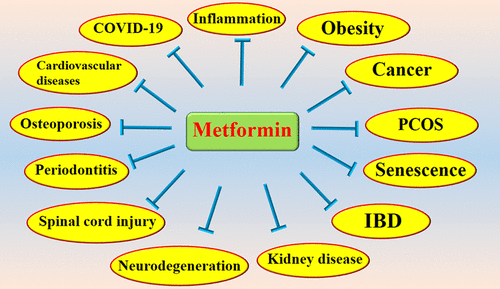 metformina