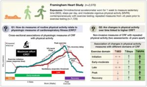 relogio biológico e hormônios