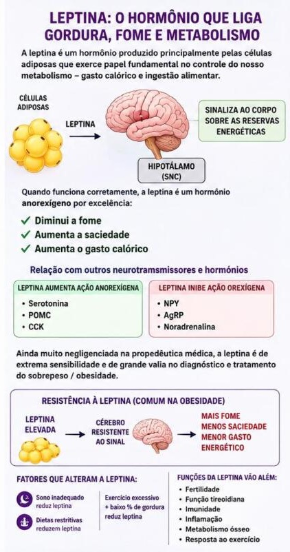 Leptina: o hormônio que liga gordura, fome e metabolismo, e a resistência à leptina