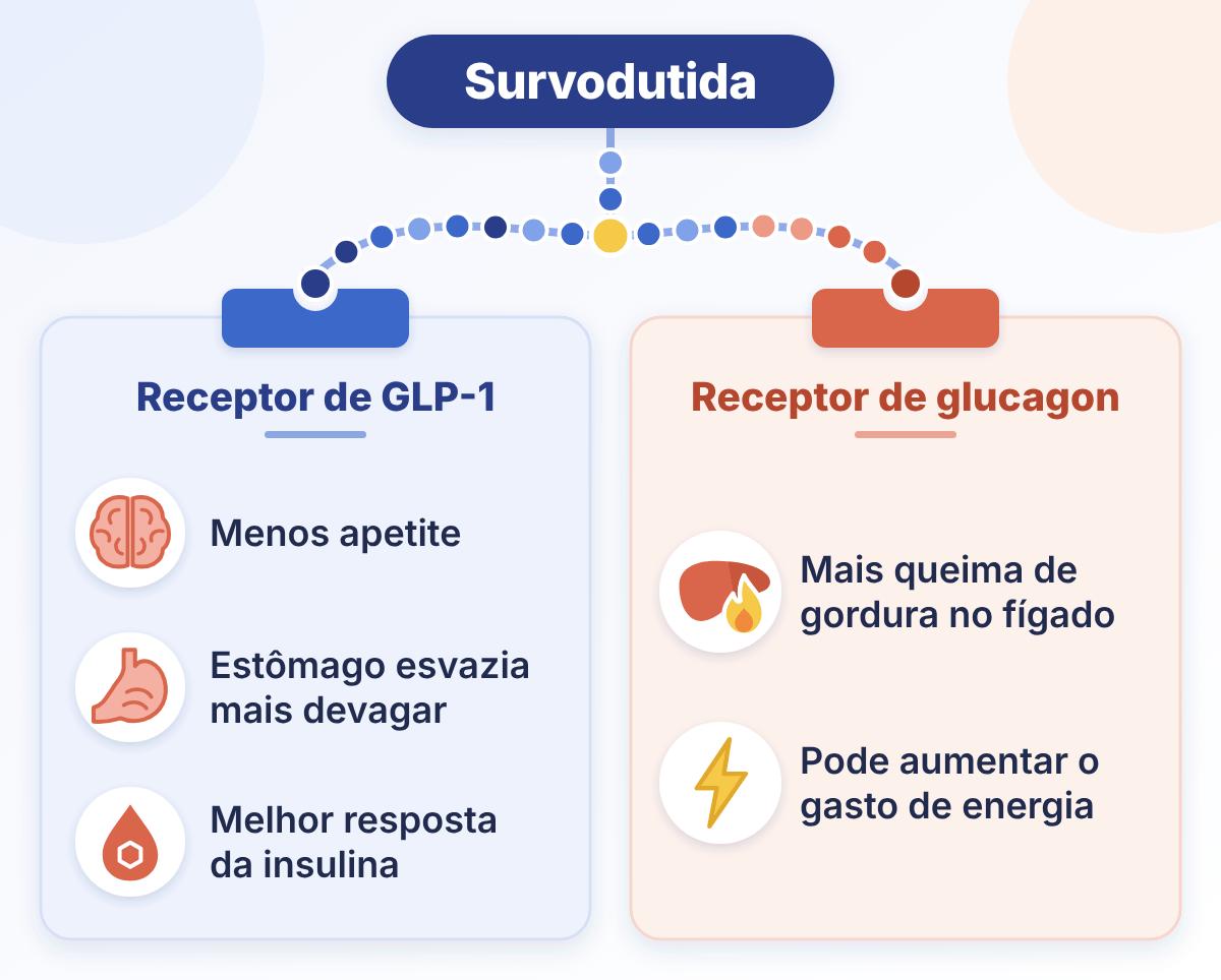Mecanismo de ação da survodutida: ativa os receptores de GLP-1 e de glucagon
